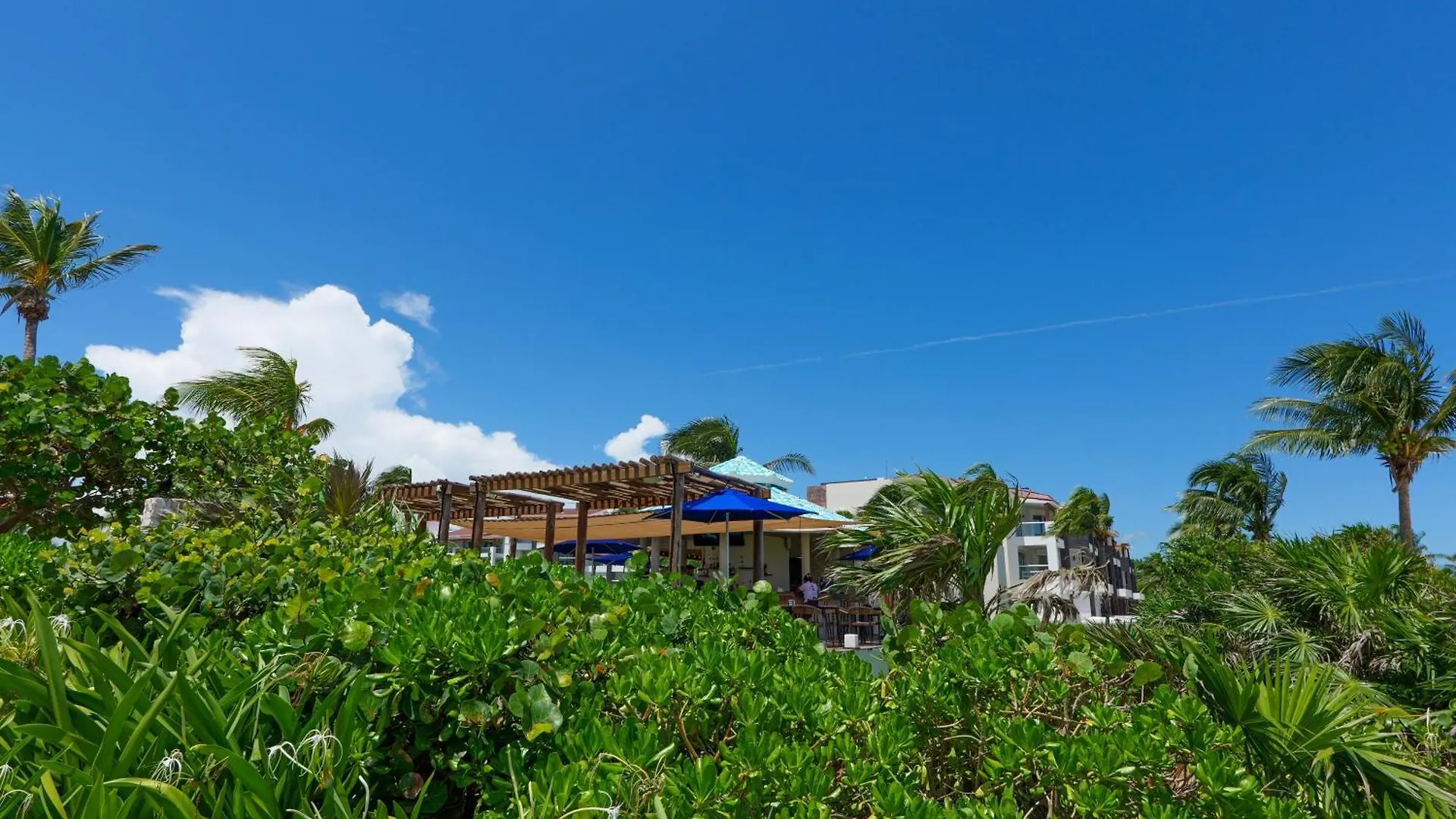 Seaside Serenity Retreat At Mareazul Norte 신데 델 카르멘