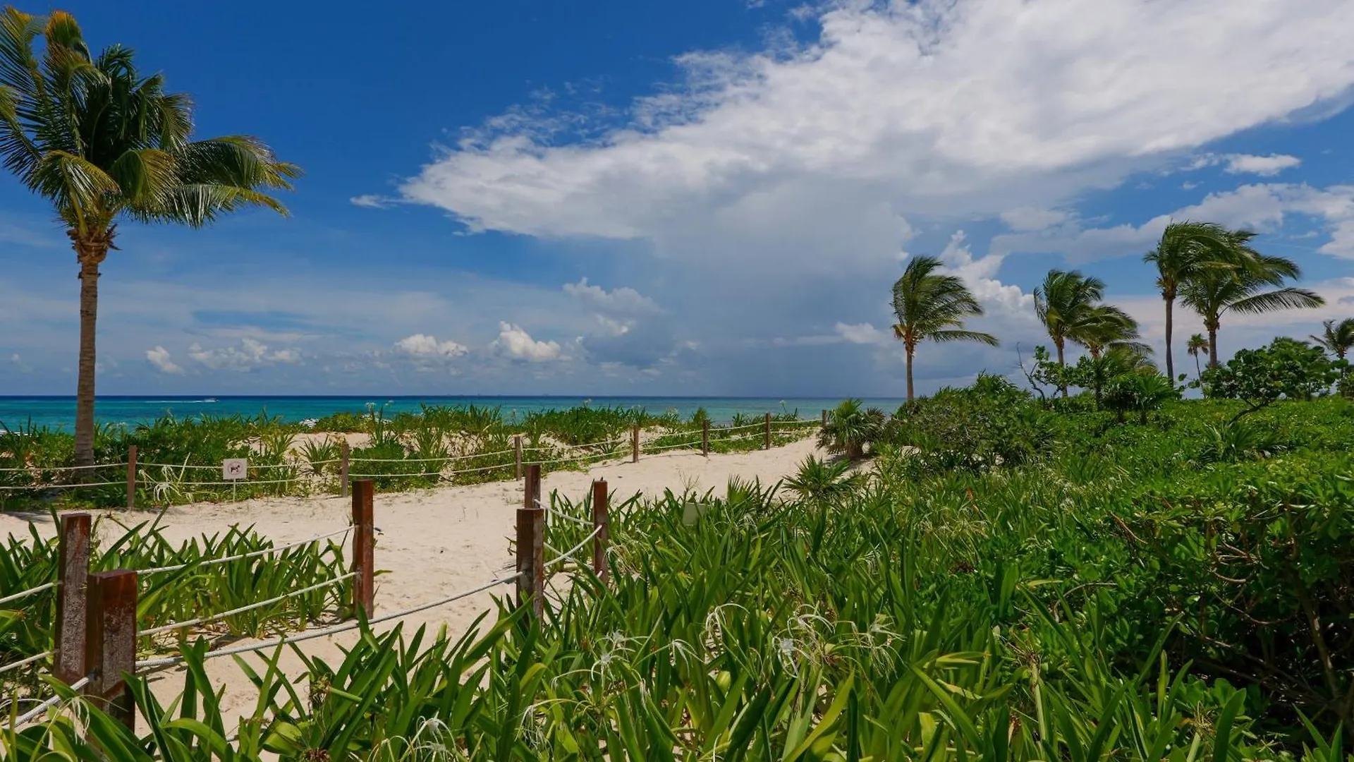 Daire Seaside Serenity Retreat At Mareazul Norte Playa del Carmen